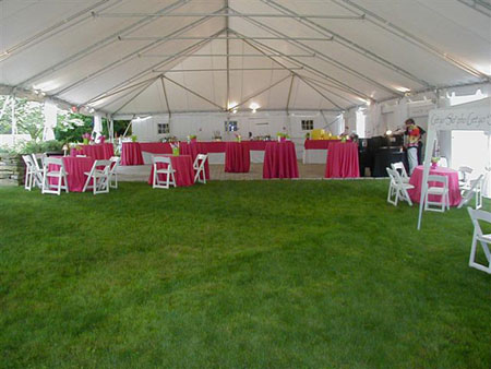 p_pop_40'X120' White Frame Tent